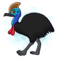 Cartoon funny cassowary isolated on white background Royalty Free Stock Photo