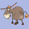 Cartoon funny character puzzled donkey looking around Royalty Free Stock Photo