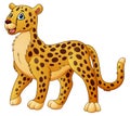 Cartoon funny cheetah