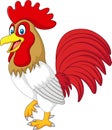 Cartoon funny chicken rooster isolated on white background