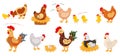 Cartoon funny chickens, hens and roosters, cute chicks. Chicken on nest with eggs, little chick and mother hen, farm Royalty Free Stock Photo