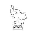 Cartoon funny circus elephant on podium isolated on white background. African animal. Hand drawn vector illustration. Royalty Free Stock Photo