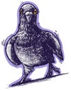 Cartoon funny cute hand drawn violet pigeon Royalty Free Stock Photo