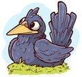 Cartoon funny cute sitting crow bird vector icon