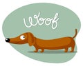 Cartoon funny dachshund dog and the word Woof. Flat style illustration, childrens print, postcard