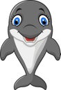 Cartoon funny dolphin