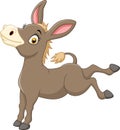 Cartoon funny donkey Royalty Free Stock Photo