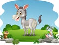 Cartoon funny donkey with nature background