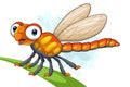 Cartoon funny dragonfly on leaf