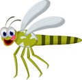 Cartoon funny dragonfly on white background