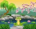 Cartoon funny frog sitting on the rock Royalty Free Stock Photo