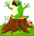 Cartoon funny frog Royalty Free Stock Photo