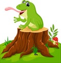 Cartoon funny frog Royalty Free Stock Photo