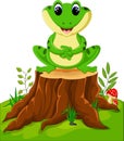 Cartoon funny frog Royalty Free Stock Photo