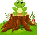 Cartoon funny frog Royalty Free Stock Photo