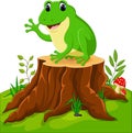 Cartoon funny frog Royalty Free Stock Photo
