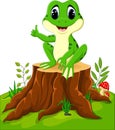 Cartoon funny frog Royalty Free Stock Photo