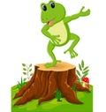 Cartoon funny frog Royalty Free Stock Photo