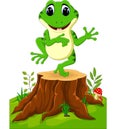 Cartoon funny frog Royalty Free Stock Photo