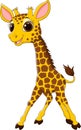 Cartoon funny giraffe mascot on white background