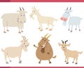 cartoon funny goats farm animal characters set Royalty Free Stock Photo