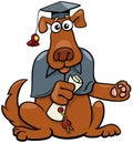 Cartoon funny graduate dog animal character in toga Royalty Free Stock Photo