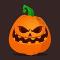 Cartoon  funny  halloween pumpkin head isolated on white background. Vector illustration Royalty Free Stock Photo
