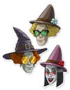 Cartoon funny halloween witches with big hats Royalty Free Stock Photo