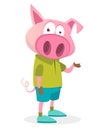 Cartoon funny and happy pig wearing modern fancy style clothes Royalty Free Stock Photo