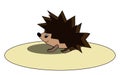 Cartoon funny hedgehog on a large circular disc vector or color illustration