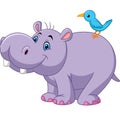 Cartoon funny hippo with bird