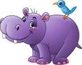 Cartoon funny hippo with bird