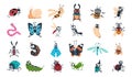 Cartoon funny insects. Colorful cute bugs characters set with smiling faces, snail, spider and caterpillar, butterfly Royalty Free Stock Photo