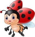 Cartoon funny ladybug