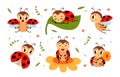 Cartoon funny ladybug. Red black dots beetle with wings. Cute insects characters on flower and leaf, ladybugs flying and Royalty Free Stock Photo