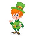 Cartoon funny Leprechaun. Vector illustration. St. Patrick`s Day. Royalty Free Stock Photo