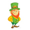 Cartoon funny Leprechaun. Vector illustration. St. Patrick`s Day