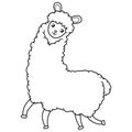 Cartoon funny llama on white background Royalty Free Stock Photo