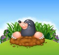 Cartoon funny mole in the jungle