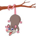 Cartoon funny Opossum on a Tree Branch Royalty Free Stock Photo
