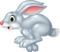 Cartoon funny panic bunny running isolated on white background
