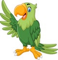 Cartoon funny parrot presenting