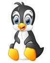 Cartoon funny penguin sitting isolated on white background