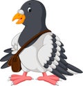 Cartoon funny pigeon bird