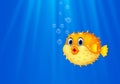 Cartoon funny puffer fish swimming in the ocean
