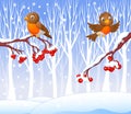 Cartoon funny robin bird on the berry tree with winter background Royalty Free Stock Photo