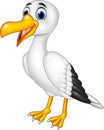 Cartoon funny seagull posing isolated on white background