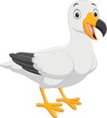 Cartoon funny seagull on white background Royalty Free Stock Photo