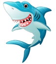 Cartoon funny shark