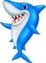 Cartoon funny shark